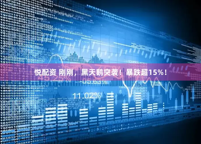 悦配资 刚刚，黑天鹅突袭！暴跌超15%！